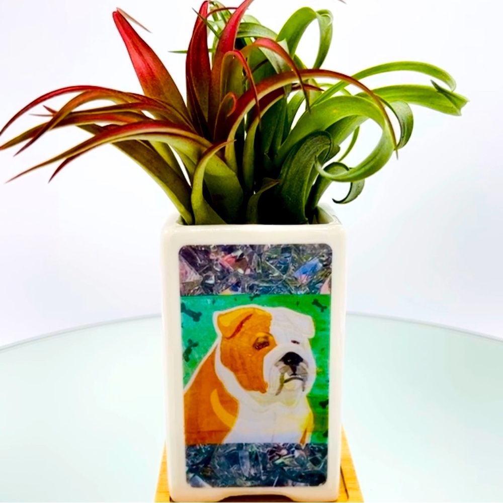 ENGLISH BULLDOG DOG Art Hand Crafted Home Decor Planter Office Organizer Gifts